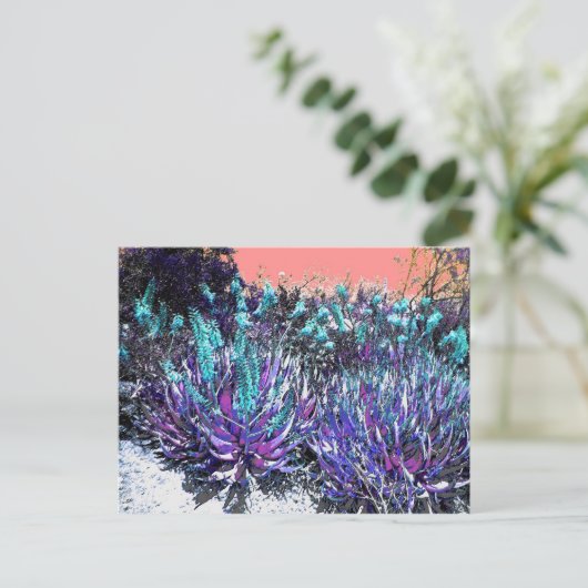 woestijnbloemen briefkaart (Staand voorkant)