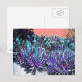 woestijnbloemen briefkaart (Voorkant / Achterkant)