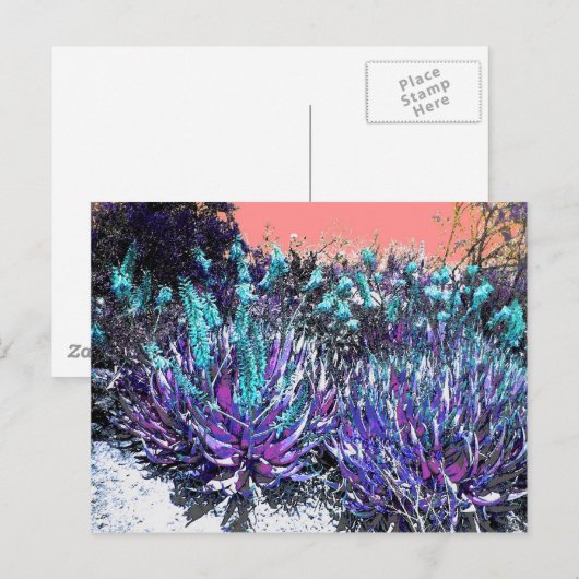 woestijnbloemen briefkaart (Voorkant / Achterkant)