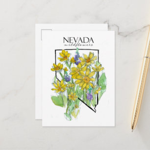 Woestijnbloemen Nevada Lupines Balsamroot Briefkaart
