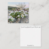 woestijnbloemen notitiekaartje (Voorkant / Achterkant)