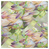 woestijnbloemen van yucca stof (Close Up)