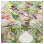 woestijnbloemen van yucca stof (Close Up)