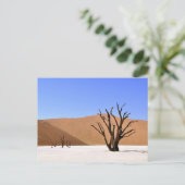 woestijnbomen briefkaart (Staand voorkant)