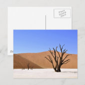 woestijnbomen briefkaart (Voorkant / Achterkant)