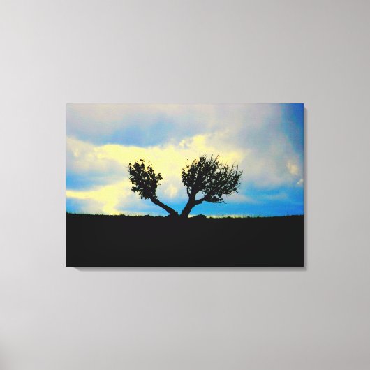 woestijnbomen in het canvas dat in arizona is gewi afdruk (Voorkant)