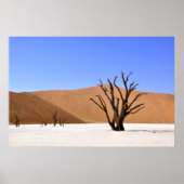 woestijnbomen poster (Voorkant)