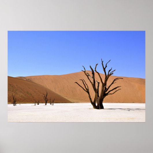 woestijnbomen poster (Voorkant)