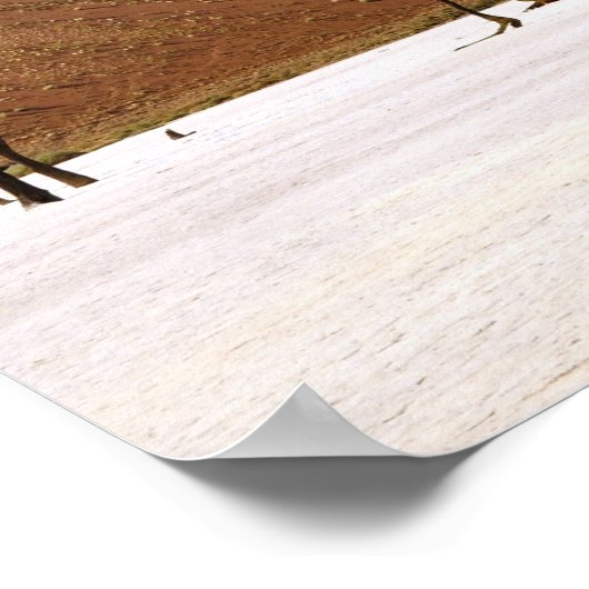 woestijnbomen poster (Hoek)