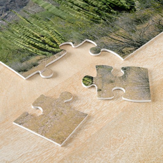 woestijncactus bij het Nationaal Monument voor de  Legpuzzel (Zijkant)