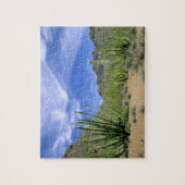 woestijncactus bij het Nationaal Monument voor de  Legpuzzel (Verticaal)