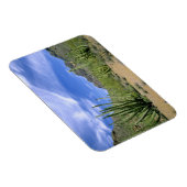 woestijncactus bij het Nationaal Monument voor de  Magneet (Rechterzijde)