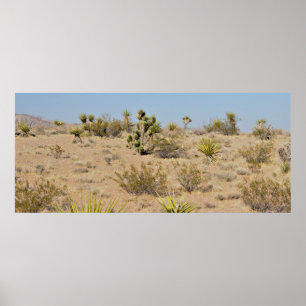 woestijncactus en Planten Poster