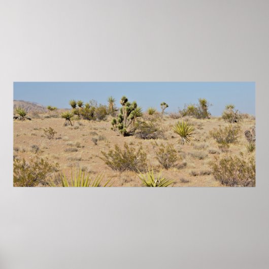 woestijncactus en Planten Poster (Voorkant)