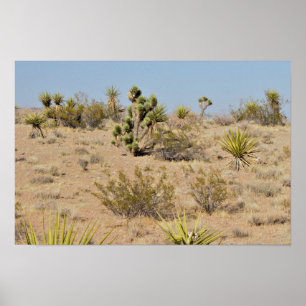 Woestijncactus en Planten Poster