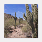 Woestijncactus in Arizona Magneet (Voorkant)