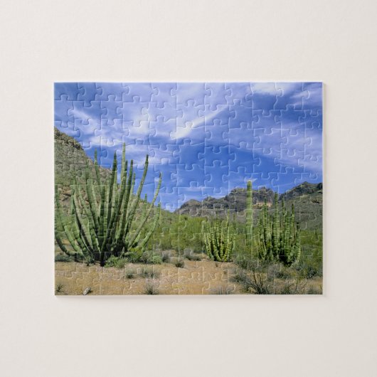 Woestijncactus in Organ Pipe National Monument, Legpuzzel (Horizontaal)