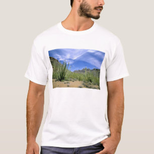 Woestijncactus in Organ Pipe National Monument, T-shirt