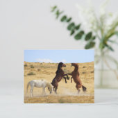 Woestijndans Briefkaart (Staand voorkant)