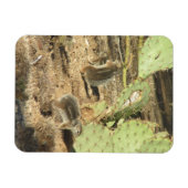 Woestijneekhoorns in Tucson Magnet Magneet (Horizontaal)