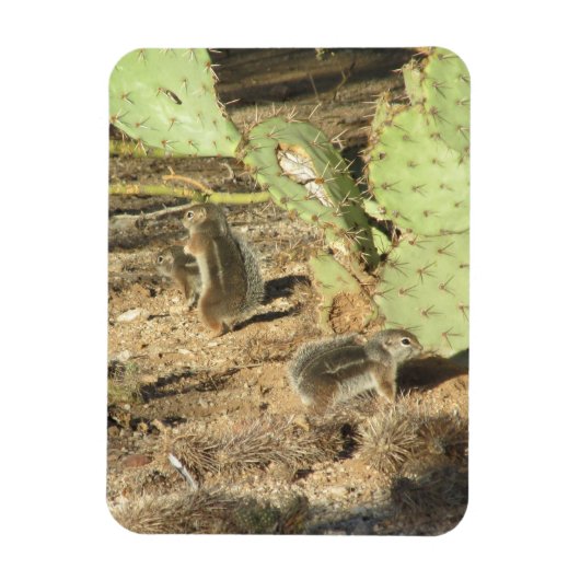 Woestijneekhoorns in Tucson Magnet Magneet (Verticaal)