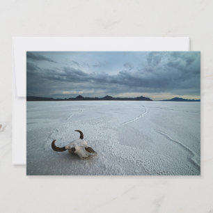 woestijnen   Bonneville Salt Flats Utah Bedankkaart