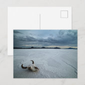 woestijnen | Bonneville Salt Flats Utah Briefkaart (Voorkant / Achterkant)