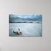 woestijnen | Bonneville Salt Flats Utah Canvas Afdruk (Voorkant)