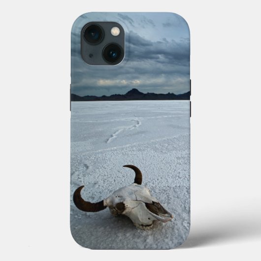 woestijnen | Bonneville Salt Flats Utah Case-Mate iPhone Case (Achterkant)