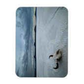 woestijnen | Bonneville Salt Flats Utah Magneet (Verticaal)