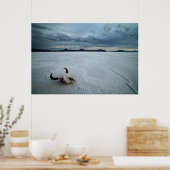 woestijnen | Bonneville Salt Flats Utah Poster (Keuken)