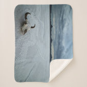 woestijnen | Bonneville Salt Flats Utah Sherpa Deken (Voorkant)