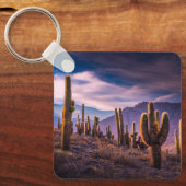 Woestijnen | Cactuslandschap Argentinië Sleutelhanger (Voorkant)