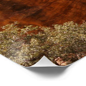 woestijnen in de Amerikaanse woestijnlandschapsfot Perfect Poster (Hoek)