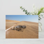 woestijnen | Namaqua Chameleon in woestijn Bedankkaart (Staand voorkant)