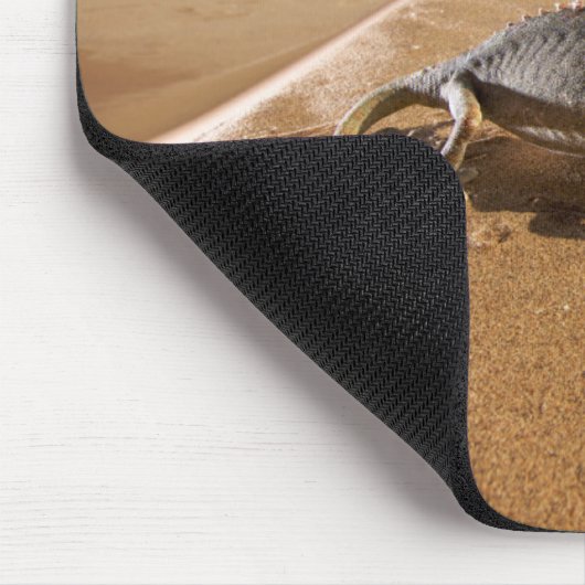 woestijnen | Namaqua Chameleon in woestijn Muismat (Hoek)