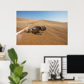 woestijnen | Namaqua Chameleon in woestijn Poster (Thuiskantoor)