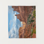 woestijnen | Nationaal park Arches, Utah Wandkleed (Voorkant)