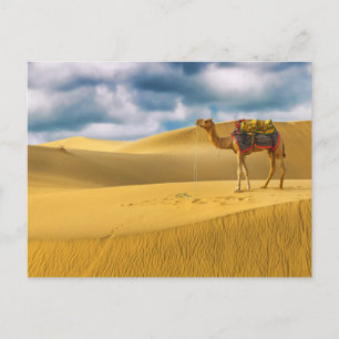 woestijnen   Thar Desert Rajasthan India Camel Briefkaart