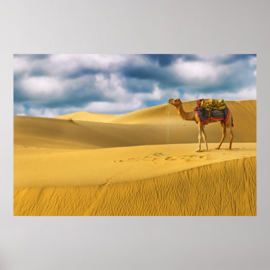 woestijnen | Thar Desert Rajasthan India Camel Poster (Voorkant)