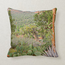 woestijngebied, Sedona, natuur, cactus,