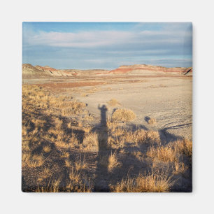 Woestijngolf: Foto van Petrified Forest National P Magneet
