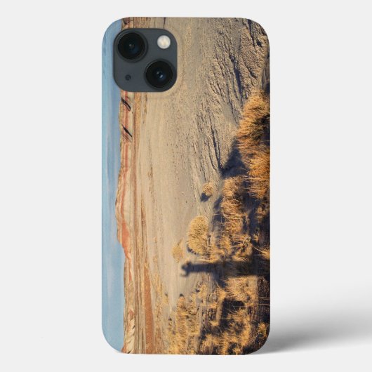 Woestijngolf: Nationaal park Petrified Forest Case-Mate iPhone Case (Achterkant)