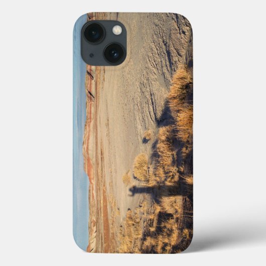Woestijngolf: Petrified Forest National Park Case-Mate iPhone Case (Achterkant)