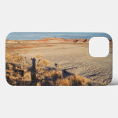 Woestijngolf: Petrified Forest National Park Case-Mate iPhone Case (Achterkant (horizontaal))