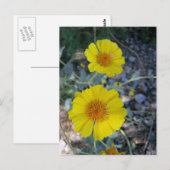 Woestijngoud Briefkaart (Voorkant / Achterkant)