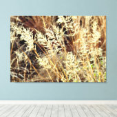 woestijngrassen verpakt doek canvas afdruk (Insitu (Houten vloer))