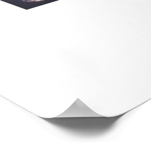 Woestijnharpist Poster (Hoek)