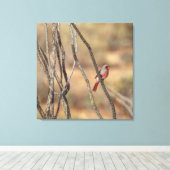 woestijnkardinaal canvas afdruk (Insitu (Houten vloer))