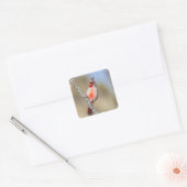 woestijnkardinaal vierkante sticker (Envelop)